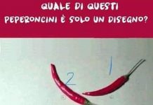 Quiz visivo: quale peperoncino è disegnato?