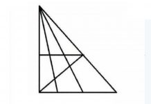 Test visivo: quanti triangoli riesci a vedere? indovinello triangoli